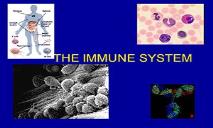 The Immune System PowerPoint Presentation