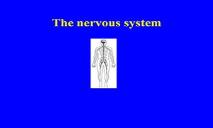 The Nervous System & Sensitivity PowerPoint Presentation