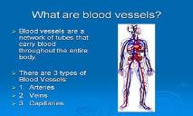 What Are Blood Vessels PowerPoint Presentation