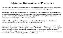 Maternal Recognition of Pregnancy-Division Of Animal Sciences PowerPoint Presentation