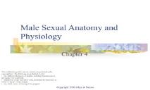 Male Sexual Anatomy and Physiology PowerPoint Presentation