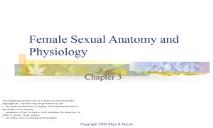 Female Sexual Anatomy and Physiology PowerPoint Presentation