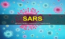 SARS (Severe Acute Respiratory Syndrome) PowerPoint Presentation