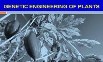 Genetic Engineering of Plants PowerPoint Presentation