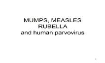 MUMPS MEASLES AND RUBELLA PowerPoint Presentation