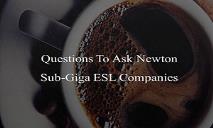 Questions To Ask Newton Sub-Giga ESL Companies PowerPoint Presentation