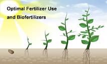 Optimal Fertilizer Use and Biofertilizers PowerPoint Presentation