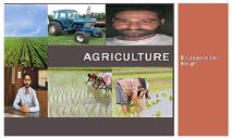 Agriculture PowerPoint Presentation