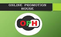 Online Promotion House PowerPoint Presentation