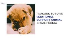 Why should you have Emotional Support Animal in California PowerPoint Presentation