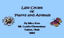 Life Cycles of Plants and Animals PowerPoint Presentation