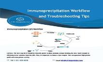 Immunoprecipitation Workflow and Troubleshooting Tips PowerPoint Presentation