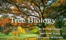 Tree Biology PowerPoint Presentation