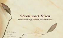 Slash and Burn-Transforming Forest to Farmland PowerPoint Presentation