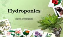 Hydroponics PowerPoint Presentation