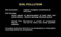 SOIL POLLUTION PowerPoint Presentation