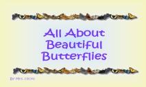 Butterflies PowerPoint Presentation