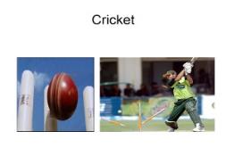 Cricket Overview PowerPoint Presentation