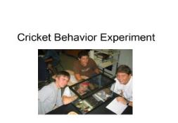 Cricket Experiment PowerPoint Presentation