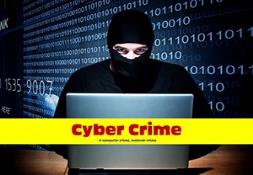Cybercrime (a online crime) Powerpoint Presentation