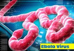Ebola Virus Disease (EVD) Powerpoint Presentation