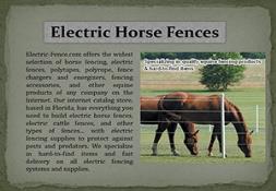 Electric Horse Fences Powerpoint Presentation