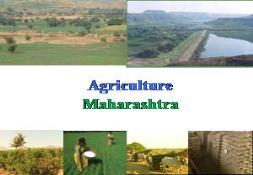 Agriculture Profile Maharashtra PowerPoint Presentation