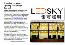 Shanghai Leiqiong LED Lighting Products Powerpoint Presentation