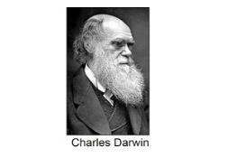 Charles Darwin Brigham Young University PowerPoint Presentation