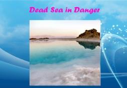 Dead Sea in Danger PowerPoint Presentation