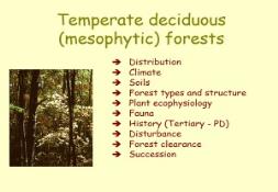 Temperate deciduous forests PowerPoint Presentation