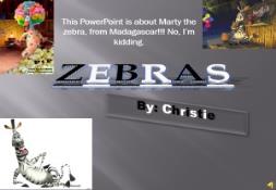 A Zebras PowerPoint Presentation