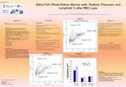 Zebra Fish Whole Kidney Marrow cells PowerPoint Presentation