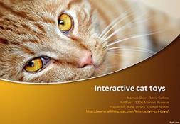 Essential products for cats-Interactive cat toys-Catz Powerpoint Presentation