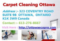Eco-Pro - Ottawa Carpet Cleaning Powerpoint Presentation