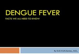 Dengue Fever Powerpoint Presentation