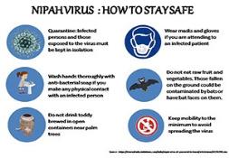 Nipah Virus Cure Tips PowerPoint Presentation