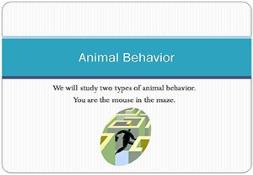Animal Behaviour Powerpoint Presentation