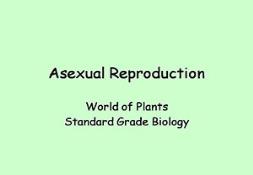 Asexual Reproduction Powerpoint Presentation