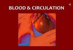 Blood And Circulation Powerpoint Presentation