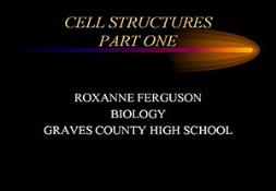 Cell Structure And Function Powerpoint Presentation