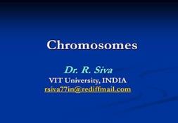 Chromosome Powerpoint Presentation