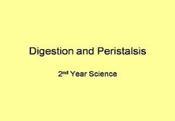 Digestion And Peristalsis Powerpoint Presentation