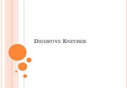 Digestive Enzymes Powerpoint Presentation