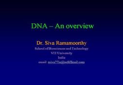 Dna-An Overview Powerpoint Presentation