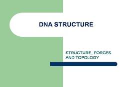 Dna Structure Powerpoint Presentation