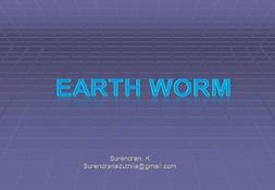 Earthworm Powerpoint Presentation