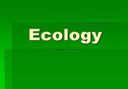 Ecology Powerpoint Presentation