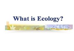 Ecology What Is It? Powerpoint Presentation
