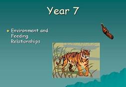 Environment And Feeding Relationships Powerpoint Presentation